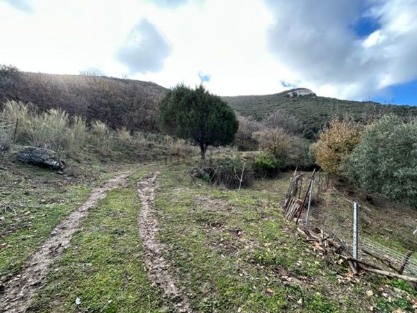 terreno agricolo in vendita ad Osilo