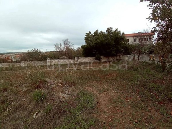 terreno agricolo in vendita ad Ossi