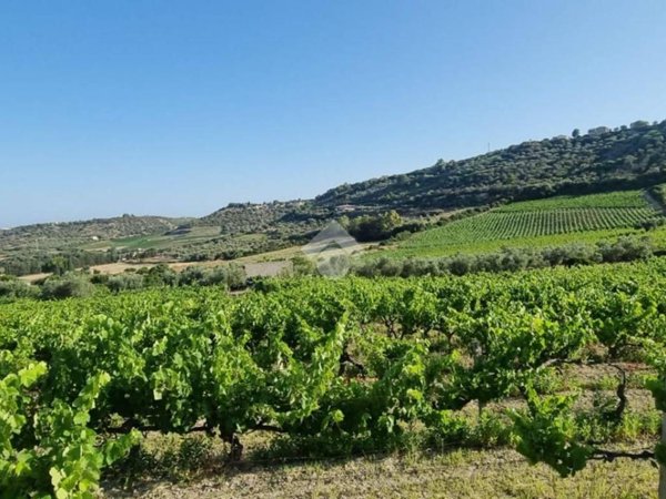 terreno agricolo in vendita ad Ossi