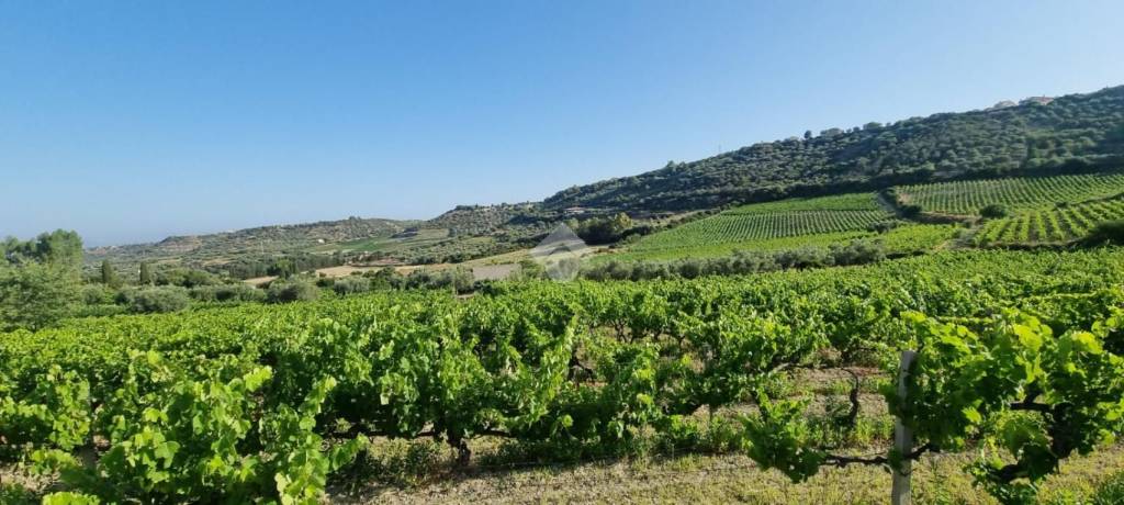 terreno agricolo in vendita ad Ossi