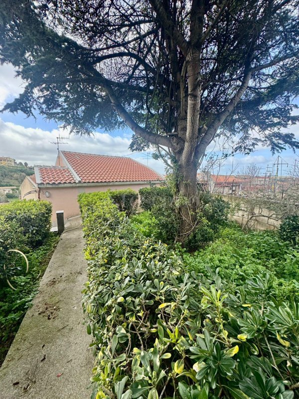casa indipendente in vendita ad Ossi