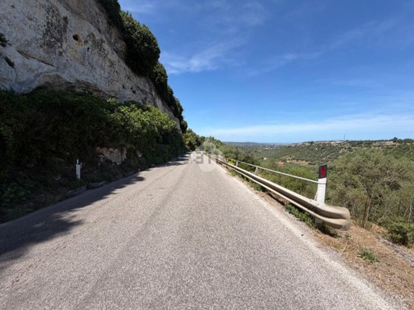 terreno agricolo in vendita ad Ossi