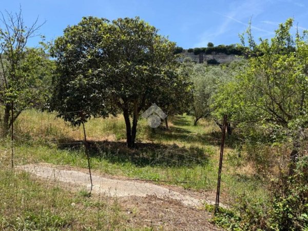 terreno agricolo in vendita ad Ossi