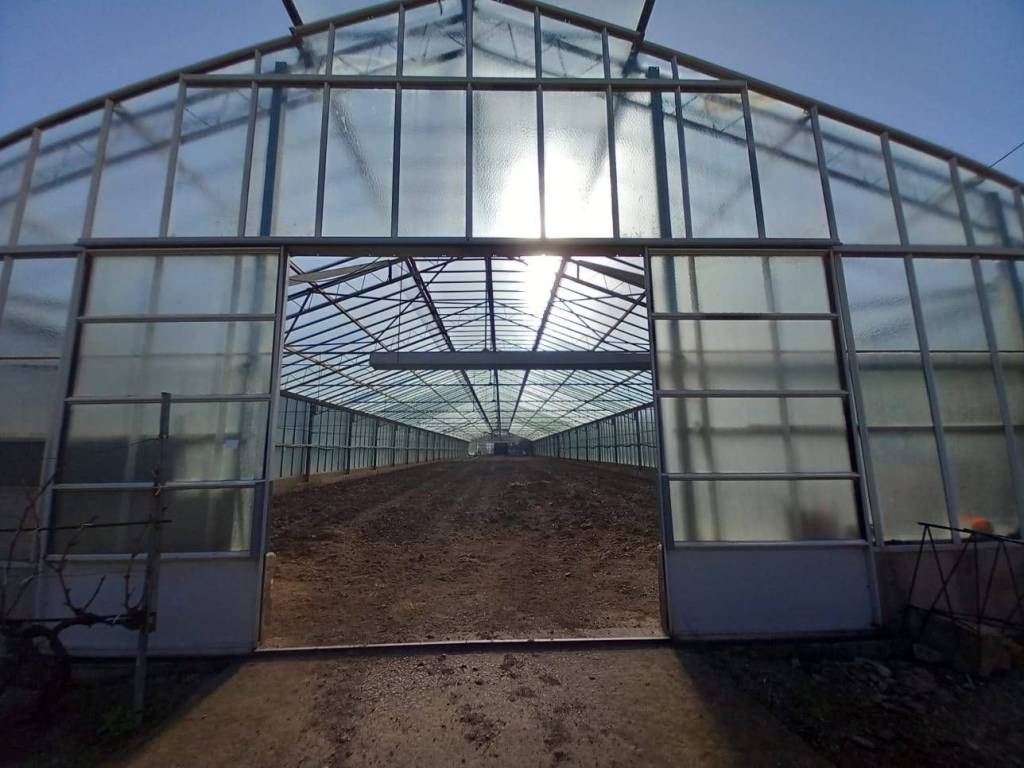 terreno agricolo in vendita ad Ozieri
