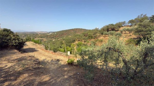 casa indipendente in vendita ad Ozieri