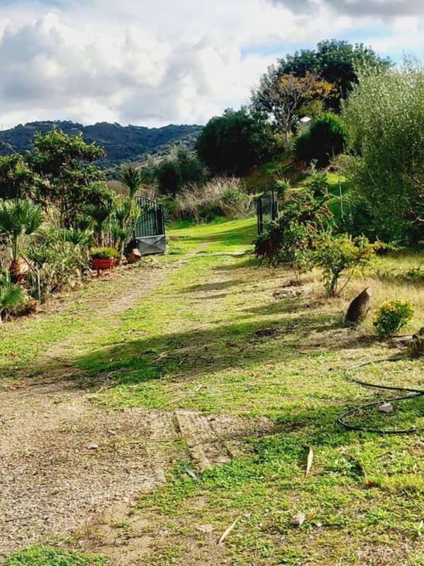 casa indipendente in vendita ad Ozieri