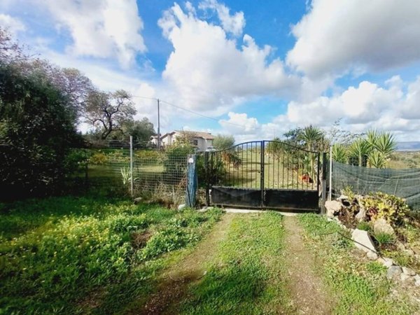casa indipendente in vendita ad Ozieri