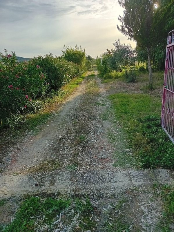 casa indipendente in vendita ad Ozieri