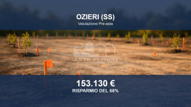 terreno agricolo in vendita ad Ozieri