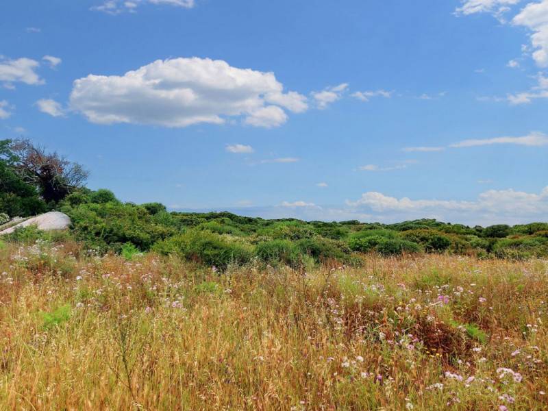 terreno edificabile in vendita a Palau