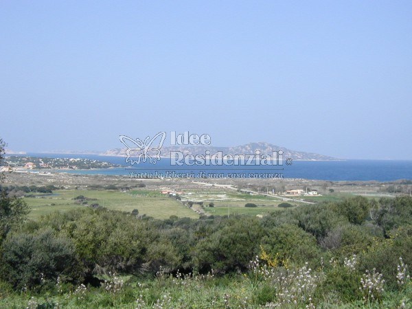 terreno agricolo in vendita a Palau