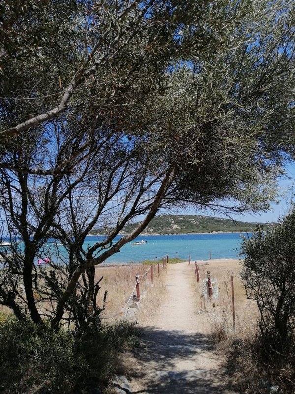 appartamento in vendita a Palau