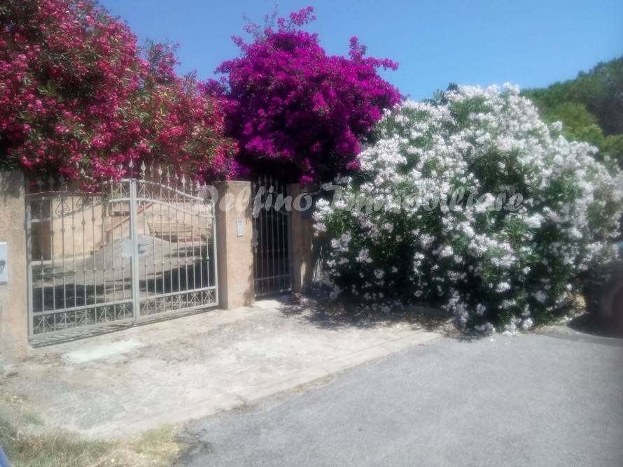 casa indipendente in vendita a Palau