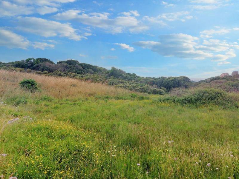 terreno edificabile in vendita a Palau