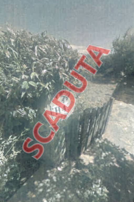 casa indipendente in vendita a Palau