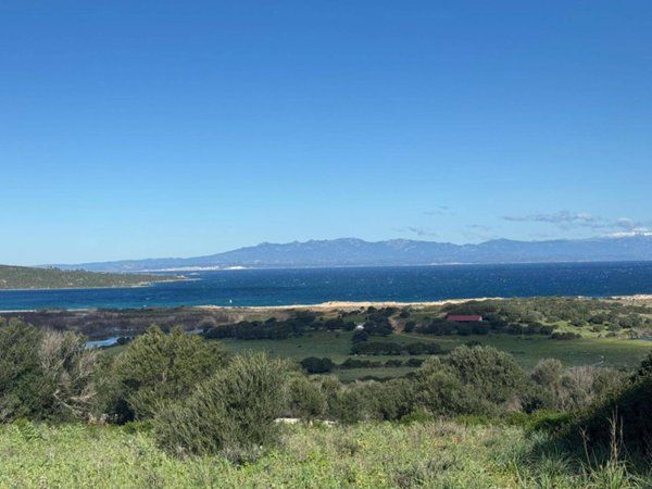 terreno agricolo in vendita a Palau