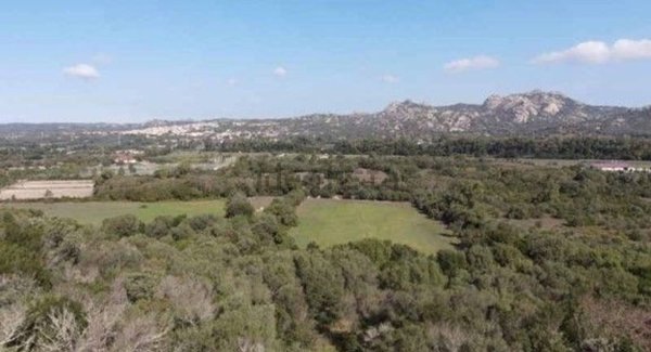 appartamento in vendita a Palau