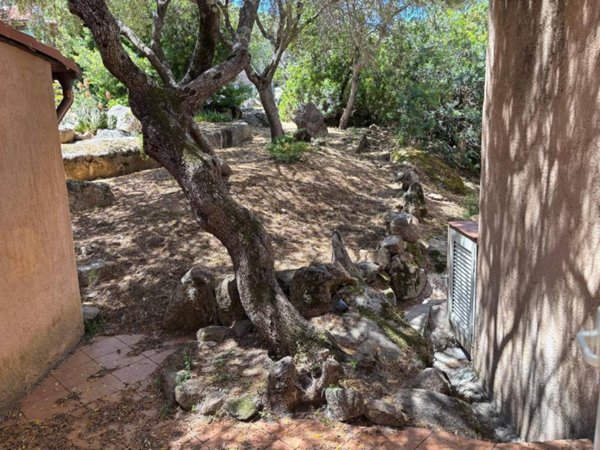 appartamento in vendita a Palau