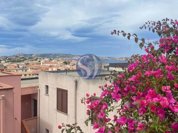 appartamento in vendita a Palau