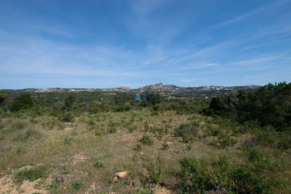 terreno agricolo in vendita a Palau