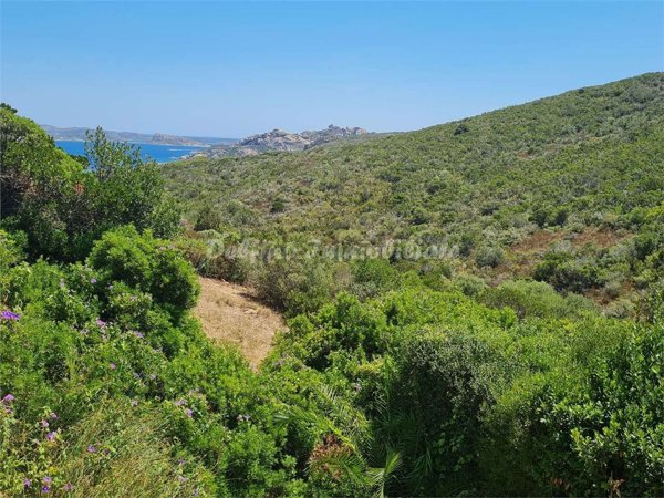 casa indipendente in vendita a Palau