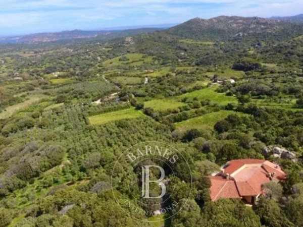 casa indipendente in vendita a Palau