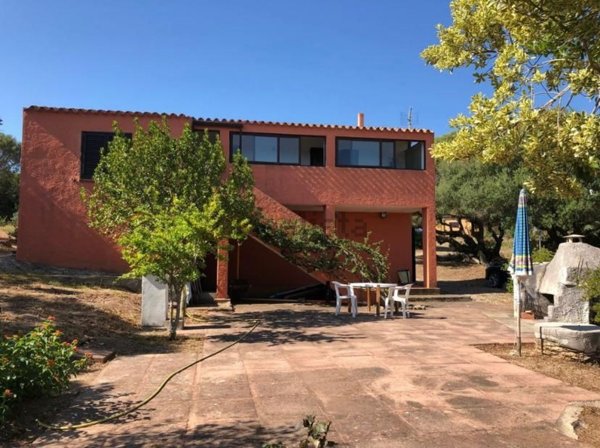 quadrivano in vendita a Palau