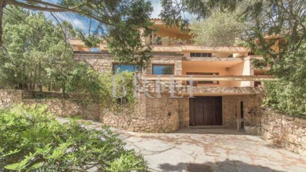 immagine annuncio 0 di 15