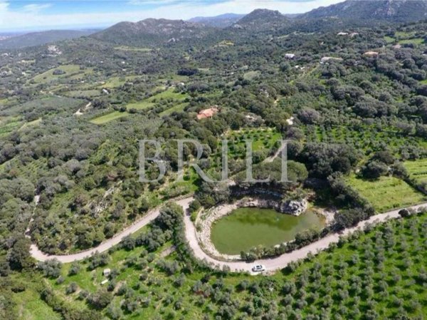 casa indipendente in vendita a Palau