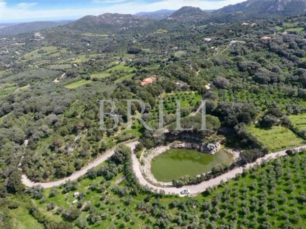 casa indipendente in vendita a Palau
