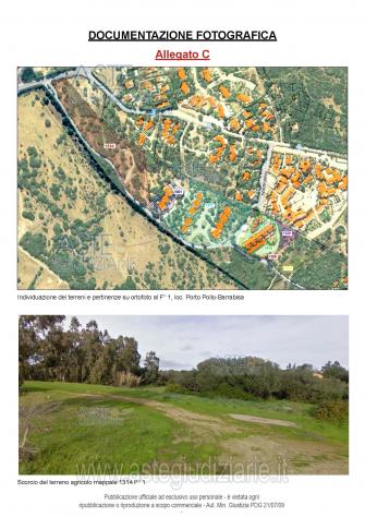 terreno agricolo in vendita a Palau