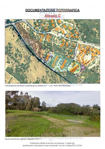 terreno agricolo in vendita a Palau