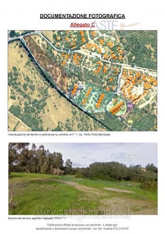 terreno agricolo in vendita a Palau