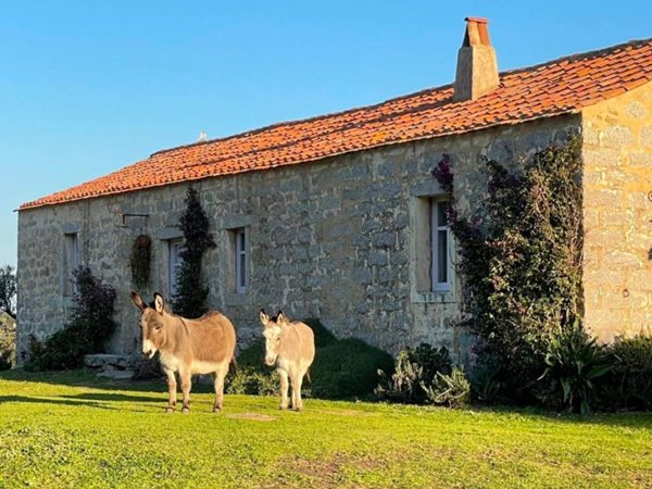 casa indipendente in vendita a Palau
