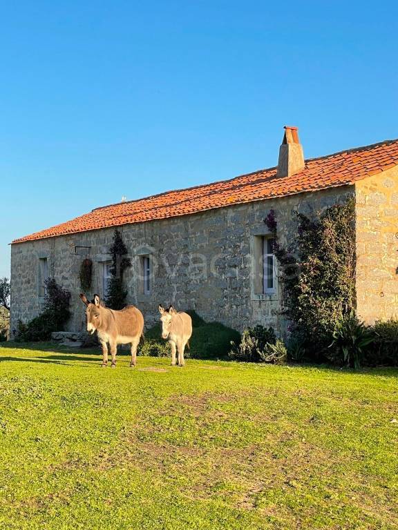 casa indipendente in vendita a Palau