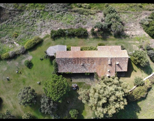 pentavano in vendita a Palau