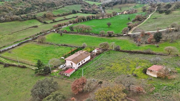 casa indipendente in vendita a Pattada