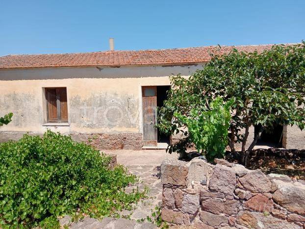 terreno agricolo in vendita a Perfugas