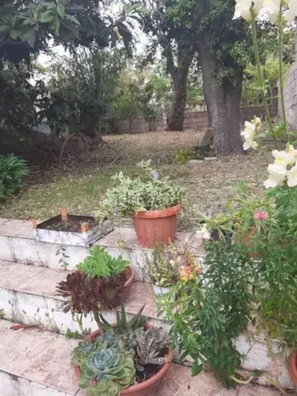 appartamento in vendita a Perfugas