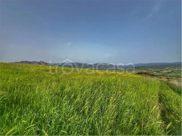terreno agricolo in vendita a Perfugas