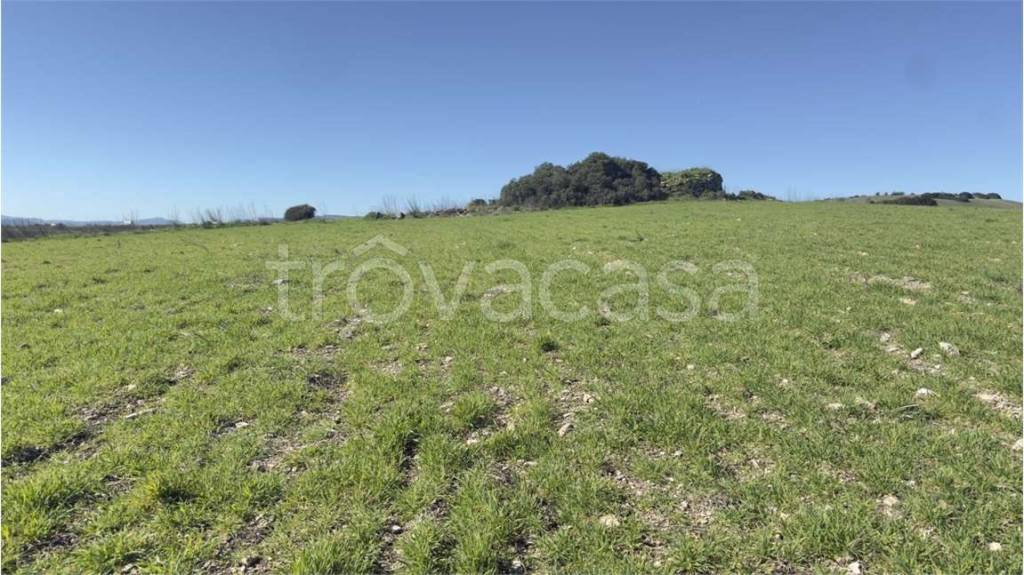 terreno agricolo in vendita a Perfugas
