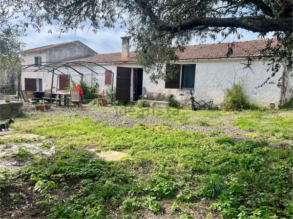 casa indipendente in vendita a Perfugas