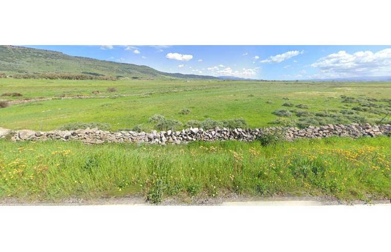 terreno agricolo in vendita a Perfugas