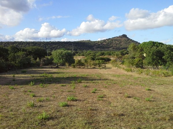 appartamento in vendita a Ploaghe