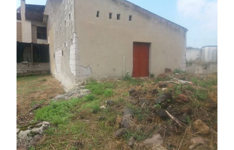 terreno agricolo in vendita a Ploaghe