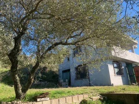 casa indipendente in vendita a Ploaghe