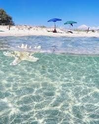 negozio in vendita a Porto Torres