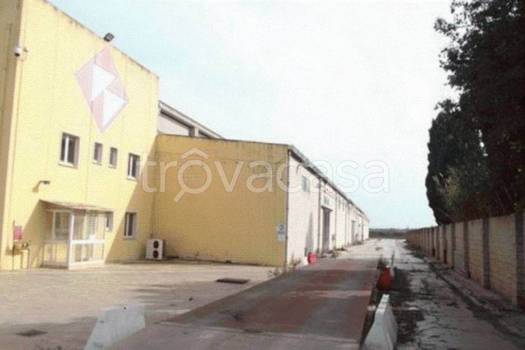 negozio in vendita a Porto Torres