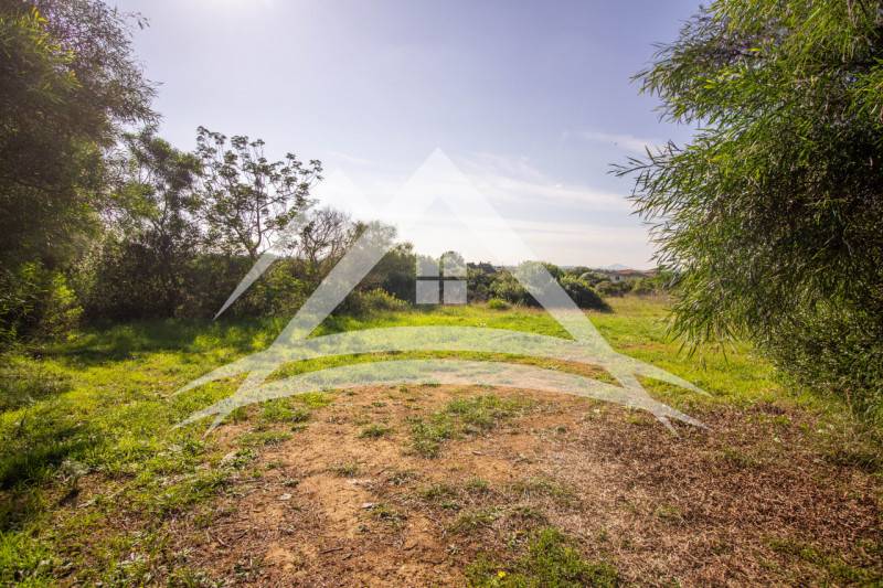 terreno agricolo in vendita a Porto Torres