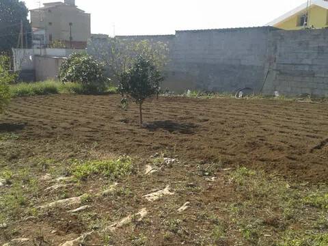 terreno agricolo in vendita a Porto Torres